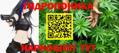 прущие крисы Тверь