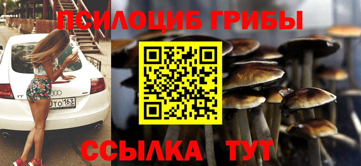 Отрадное  Псилоцибиновые грибы MAGIC MUSHROOMS  Вход с VPN 